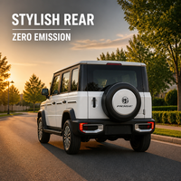 Fabricant chinois de mini-jeep électrique 4x4, petite voiture de tourisme écologique à émissions zéro pour les trajets de courte distance