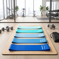 Juego de Bandas de Resistencia para Hombres y Mujeres, Bandas de Ejercicio de Látex en Bucle, 5 Niveles, para Fitness, Yoga, Pilates, Gimnasio, Entrenamiento, Fabricante con Logotipo Personalizado