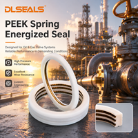 Sello Energizado por Resorte PEEK para Vástago de Cilindro Hidráulico, Sellado de PTFE Resistente al Calor, Ingeniería Personalizada Dlseals