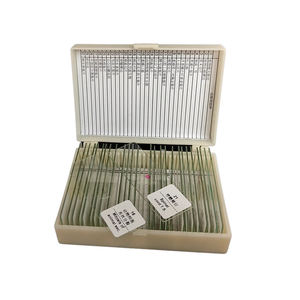 Section de lame de microscope en verre OEM S30 en gros du stade précoce de la gastrula pour la recherche en laboratoire - Product Image 3