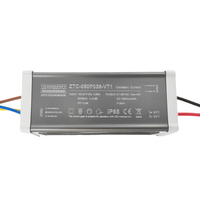 Fuente de Alimentación Zetoo CVT para Alumbrado Público LED de 50W 60W, 27-36VDC 1.5A-1.8A, Corriente Constante, Aislamiento HPF para Exteriores