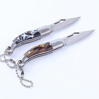 Couteau de poche pliable miniature portable en acier inoxydable durable, multifonction, porte-clés, pendentif, camping