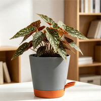 Pot de fleurs auto-arrosant en plastique PP moderne et durable, trous de drainage, capacité de 5,71 L, design minimaliste pour le jardinage à domicile au quotidien