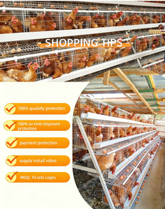 Gabbia per Galline Ovaiole a 4 Piani per 160 Uccelli con Abbeveratoio a Capezzolo - Product Image 5