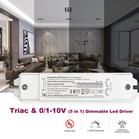 Controlador LED de 10 vatios, 3V a 42V CC, 100mA 300mA, Triac, 0-10V, Regulable, Fuente de Alimentación para Uso Doméstico