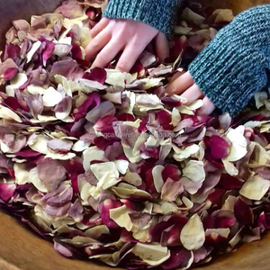 Splendidi <span class=keywords><strong>confetti</strong></span> combinati su misura di fiori di ortensie e petali di rosa fatti di fiori naturali secchi per il matrimonio e la festa - Product Image 4