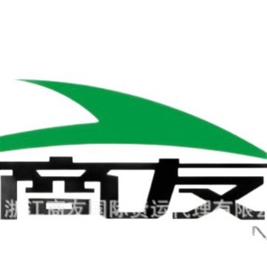 Transitaire international Zhejiang Shangyou, ligne express Émirats arabes unis, expédition rapide 0,5 kg - Product Image 2