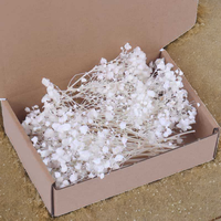 50pcs Rumput Pampas Kering Buatan Tangan, Bunga Baby's Breath Asli, Tahan Lama, Untuk Karangan Bunga Pernikahan, Natal, Hari Ibu