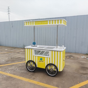 Chariot à glaces personnalisé, grand et magnifique, pour gelato, glaces et sorbets, chariot à glaces mobile à pousser à la main - Product Image 5