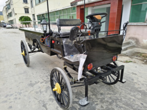 Último modelo de remolque fúnebre eléctrico para caballos, duradero, de un solo eje, para funerarias, en venta - Product Image 6