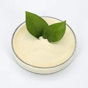 Acide aminé en poudre 40% 50% 60% 80% acide aminé végétal - Product Image 5