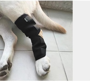 Vendita calda Pet Dog Rear Leg bretelle Neoprene Canine Hind Hock avvolge Pet ginocchio chirurgia recupero manica brace - Product Image 5