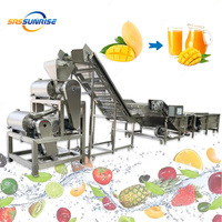 Commerciële Kleinschalige Groentepulper Extractor Machine Oranje Fruit Tomaat Pulping Verwerkingsproductielijn