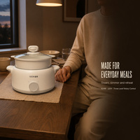 Marmite Électrique Multifonctionnelle 3L 800W pour Appartement et Usage Domestique – Vente en Gros à Prix Réduit