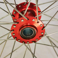 Avant 19 arrière 16 vélo électronique vélo complet roues en alliage à rayons pour Sur ron Light Bee X