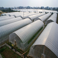 Usine de structure en acier Entrepôt préfabriqué en polycarbonate Structure en treillis en acier Construction de serres