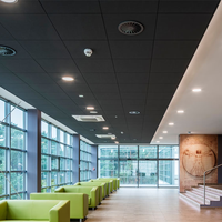 Plaques de plafond perforées en fibre minérale noire de 12 mm d'épaisseur, panneaux acoustiques de plafond 2x2 pour hôpitaux et faux plafonds