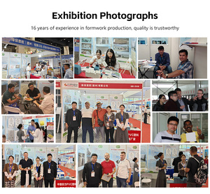Nhà cung cấp chuyên nghiệp bán buôn ván khuôn nhựa cho hệ thống ván khuôn bê tông - Product Image 2