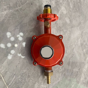 Газовый регулятор с регулируемым давлением - Product Image 2