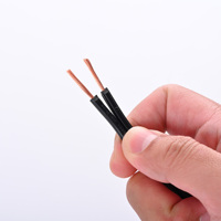 Fil d'éclairage paysager basse tension ULECC 18 AWG 2C, CCA, étanche, pour enterrage direct extérieur