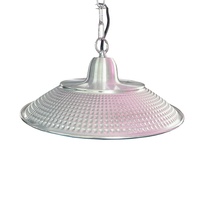 Éclairage de serre agricole à spectre complet IP65 50W UFO LED élèvent la lumière pour fleurs plantes légumes fruits Melon rose