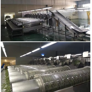 Cortador eléctrico de judías verdes de 300 ~ 500 kg/hr, cortador industrial de cabeza de frijoles, máquina de eliminación de corte de racimo - Product Image 4