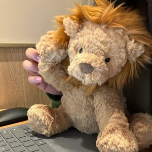 Peluche super douce de style Jellycats, série animale, ours, lion, cochon, chien, jouet avec coton PP, petite poupée bouclée - Product Image 4