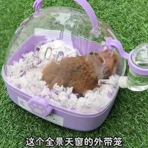 Cage de transport portable pour hamster, cage extérieure, cage de voyage, sécurité anti-évasion, petit sac de transport pour animaux de compagnie, conteneur pour animaux exotiques - Product Image 2