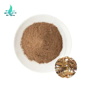 Factory Supply High Quality Pure Natural Uncaria Gambier Extract
