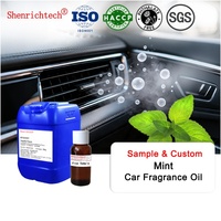 Parfum de voiture longue durée en gros, huile parfumée menthe pour aromathérapie, fabrication de diffuseurs et d'huiles essentielles pour aérateurs de voiture