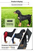 Attelle de soutien pour la marche à deux pattes arrière pour chiens seniors - Immobilisation post-opératoire, ambulation assistée, design tendance, facile à porter
