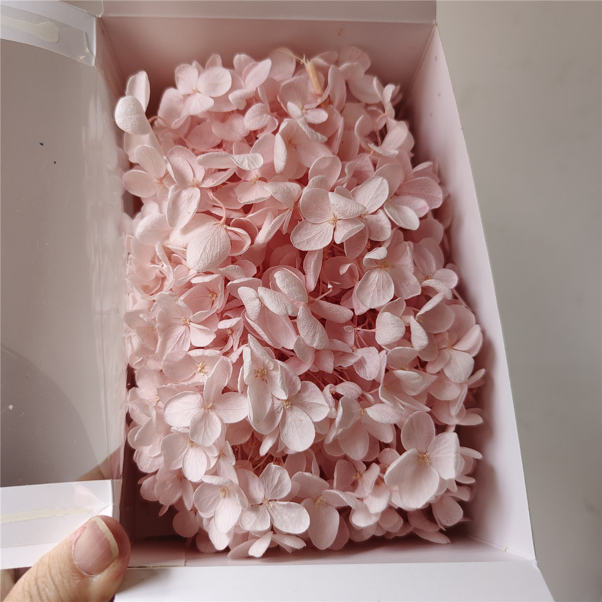 Hortensia en bois rose clair-20g par boîte