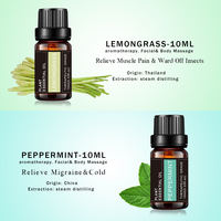 6 Paket Minyak Esensial Aromaterapi Label Pribadi Set Hadiah 10ml Minyak Lavender untuk Diffuser Relaksasi dan Penenangan
