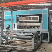 Machine de fabrication de plateaux moulés CE 7000 pièces par heure entièrement automatique pour le recyclage de vieux papiers et papier en fibre de pulpe de caille, de poulet et d'œufs