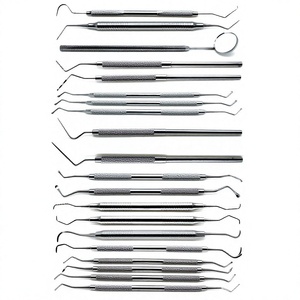 Juego de 25 Piezas de Instrumentos Dentales de Acero Inoxidable para Examen e Higiene Bucal, Kit Premium de Herramientas de Diagnóstico Oral y Limpieza Clínica - Product Image 1