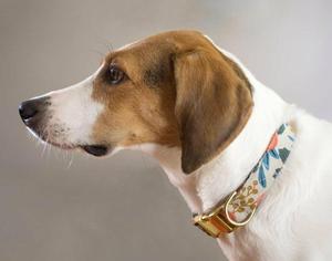 <strong>2026</strong> Custom Soft Leather Reflective Dog Cat <strong>Collars</strong> Personalized Sublimation Printing Wholesale Training Leash Applications - Product Image 6