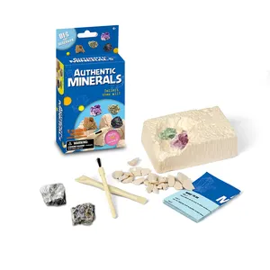 Età 6 + stem kid safety girl toy apprendimento conoscenza autentici minerali raccolgono rock kit rock collect toy