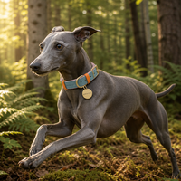 Collier pour chien en cuir véritable personnalisé de luxe, ajustable et confortable, avec logo sur mesure, nouveau modèle 2026