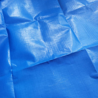 Auvent imperméable et pare-soleil pour entrepôt de fret, abri de camion, auvent industriel, bâche en PE