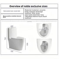 WC en céramique monobloc pour usage domestique et hôtelier, à poser au sol, avec évacuation arrière, sortie d'eau arrière, anti-odeur, grand diamètre