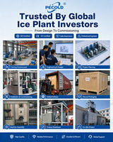 Machine à glace en tubes Pecold 30 tonnes, directement de l'usine, pour centre d'approvisionnement en glace du port de pêche d'Indonésie, service local DDP