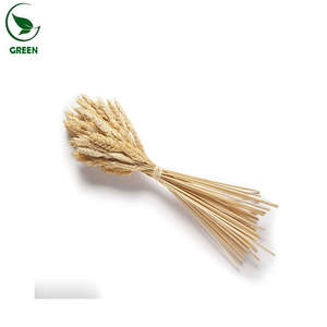 加水分解小麦タンパク質80%-85% 食品グレードHWP添加物、ベーキング、乳製品、飲料用 - Product Image 4