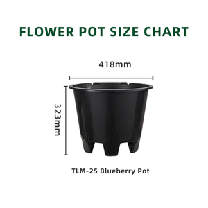 Gran oferta, lavabo <span class=keywords><strong>de</strong></span> arándanos blancos, <span class=keywords><strong>macetas</strong></span> <span class=keywords><strong>de</strong></span> vivero apilables <span class=keywords><strong>de</strong></span> alta calidad, <span class=keywords><strong>macetas</strong></span> Redondas <span class=keywords><strong>de</strong></span> Plástico duraderas - Product Image 3