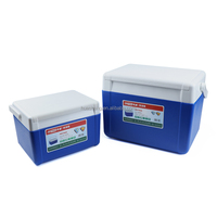 Glacière isotherme portable 5L en PE pour transport alimentaire, camping, bière et vin