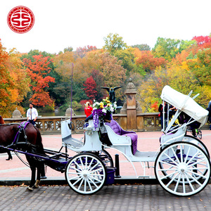 Chariot de tourisme électrique haut de gamme, calèche royale pour mariage avec éclairage LED - Product Image 2