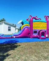Maison gonflable à rebond Bluey Combo Kids Party Jumping Bouncing Bouncy Castle avec toboggan aquatique Moon Jumper Ball Pit Pool