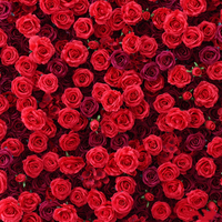 Panneau mural de fleurs de roses rouges bordeaux, toile de fond florale pour mariage, décoration de fond pour événements et photographie
