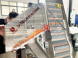 Máy cắt nắp nhựa tự động tốc độ cao, máy cắt nắp chống trộm, thiết bị công nghiệp - Product Image 4