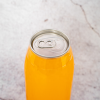 Logo personnalisé de 500ml Bouteille et canettes de soda en plastique PET transparent de qualité alimentaire jetables pour boissons gazeuses et boissons avec couvercle à ouverture facile