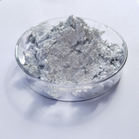Vente en gros de pâte époxy argentée pour sérigraphie pâte argentée aluminium pour peinture argentée métallisée